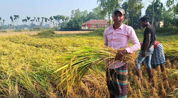 হার না মানা সুজনের ‘ইংরেজি-জয়’